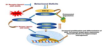 CSIR-CDRI